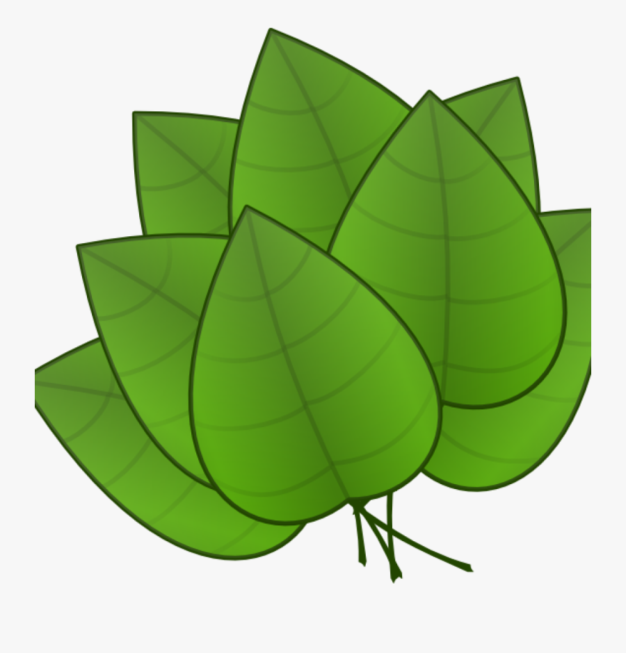 Jungle Leaves Clipart Jungle Leaves Clipart Free Jungle - Parts Of Plants Leaves, Transparent Clipart