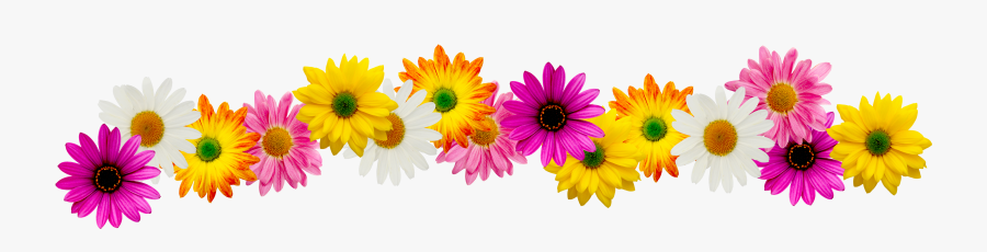 Spring Border Clipart - Spring Flowers Border Clipart, Transparent Clipart