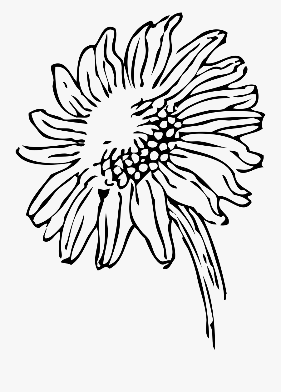 Thumb Image - Sunflowers Clip Art Black And White, Transparent Clipart