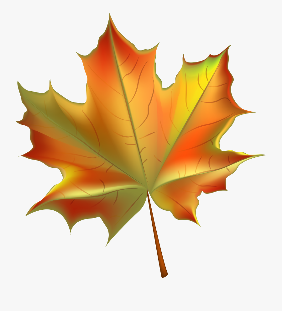 Top 80 Autumn Leaf Clip Art Free Clipart Spot - Transparent Background Fall Leaf Clipart, Transparent Clipart