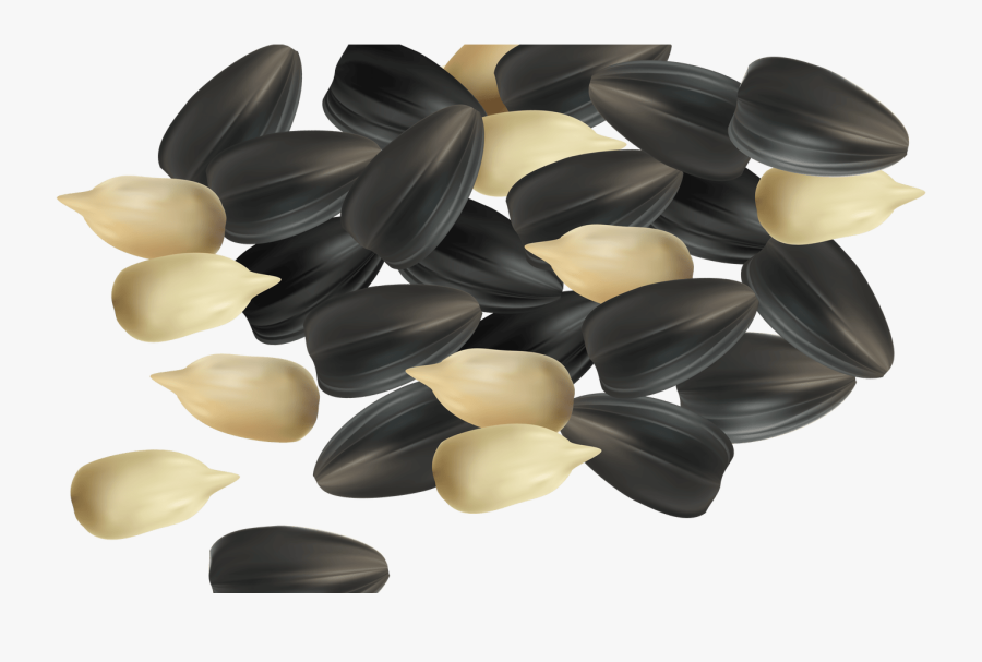 Sunflower Clipart Sunflower Seed Pencil And In Color - Seeds Clipart Png, Transparent Clipart