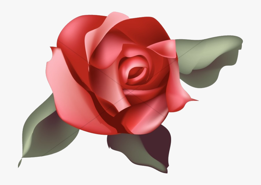 Rose Single Red Blossom Church Clipart Transparent - Red Blossom Rose Clipart, Transparent Clipart