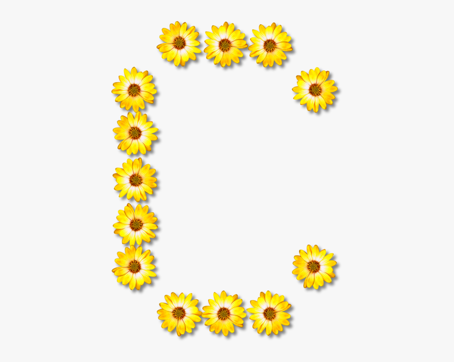Sunflower Seed,flower,sunflower - Png Flower Number, Transparent Clipart