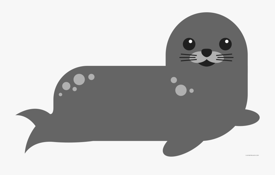 Marine Mammals Images - Transparent Background Seal Clipart, Transparent Clipart