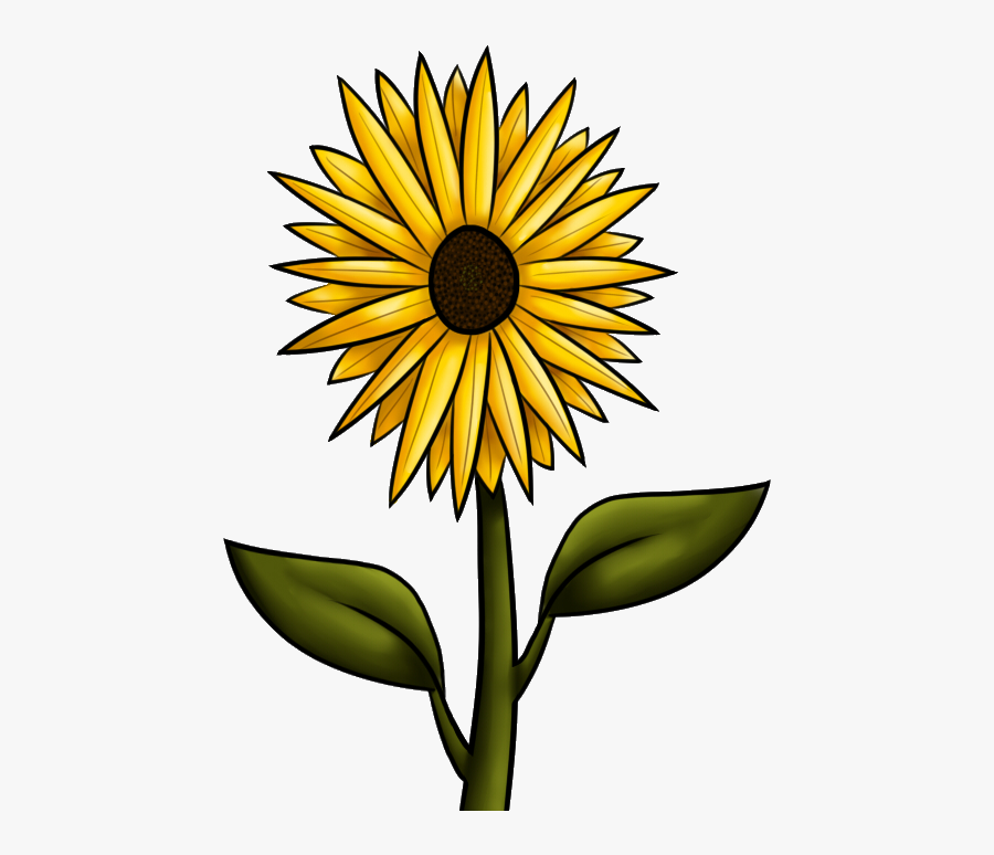 Gallery For Country Sunflower Clipart - Dibujos Png Girasoles, Transparent Clipart
