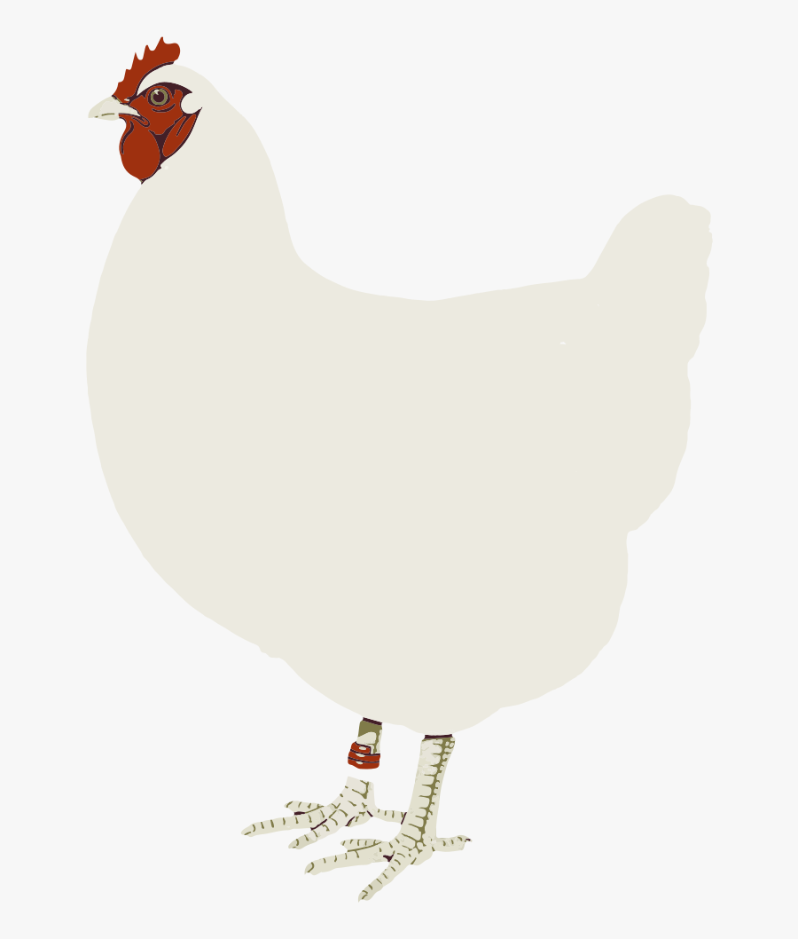 Hen Chicken Clip Art - Hen White Clipart Hd, Transparent Clipart