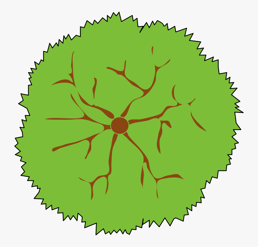 Pawprint Clipart Baby Lion - Green Paw Print Clipart, Transparent Clipart