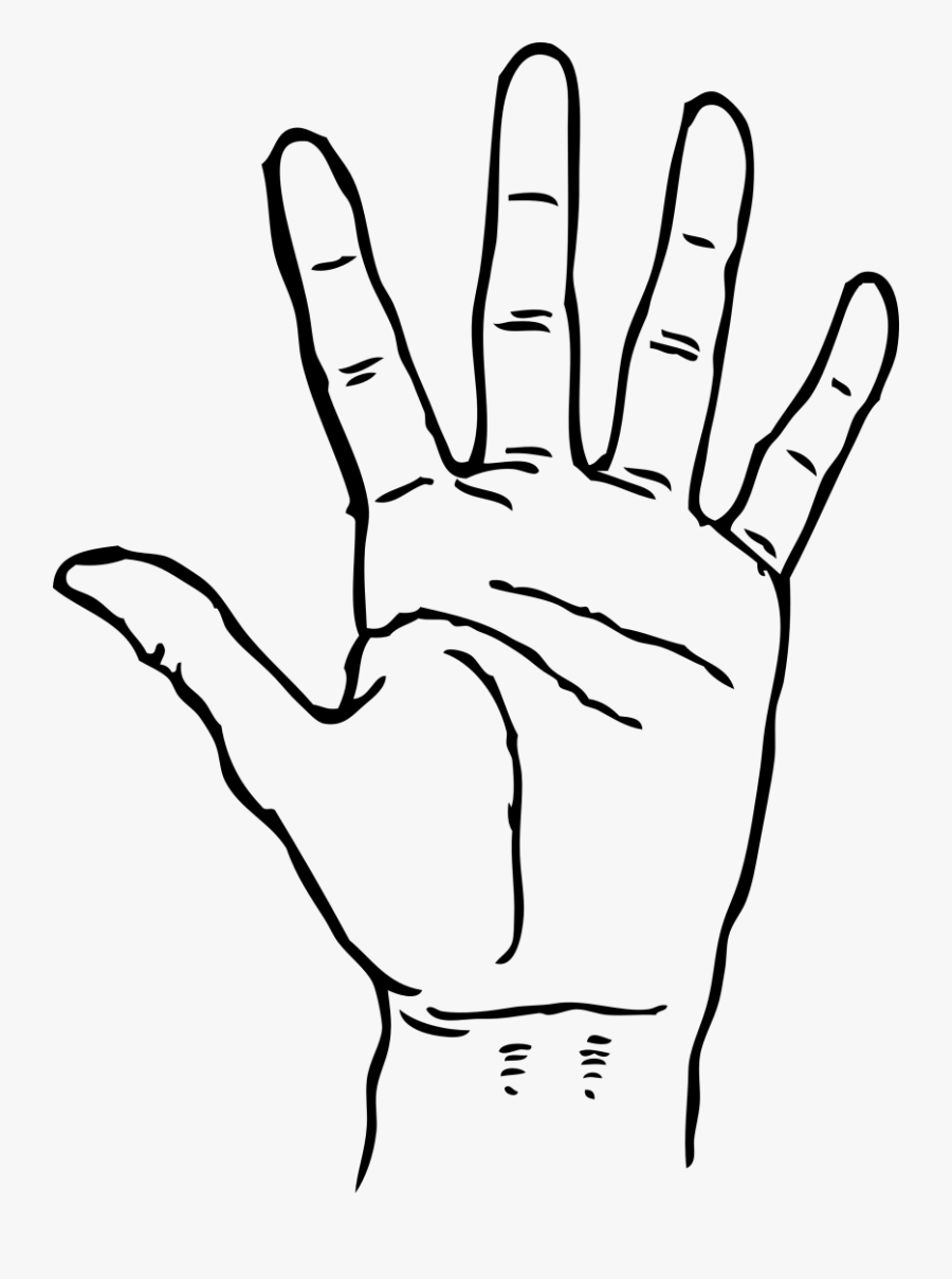 Hand Clip Art Pictures Free Clipart Image 2 - Hand Clipart Black And White, Transparent Clipart
