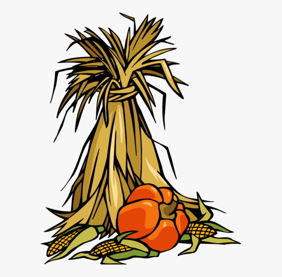 Corn Stalks And Pumpkins, Transparent Clipart