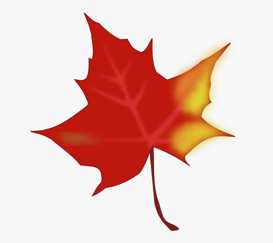 Maple Leaf Clipart Yellow Fall Leaf - Free Clipart Fall Leaf, Transparent Clipart