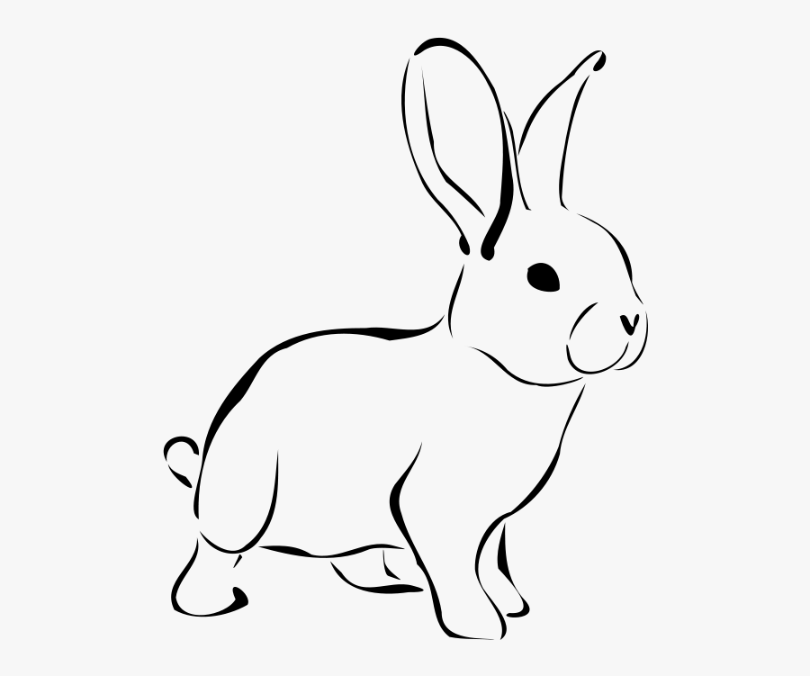 Rabbit - Bunny Clipart Black And White, Transparent Clipart