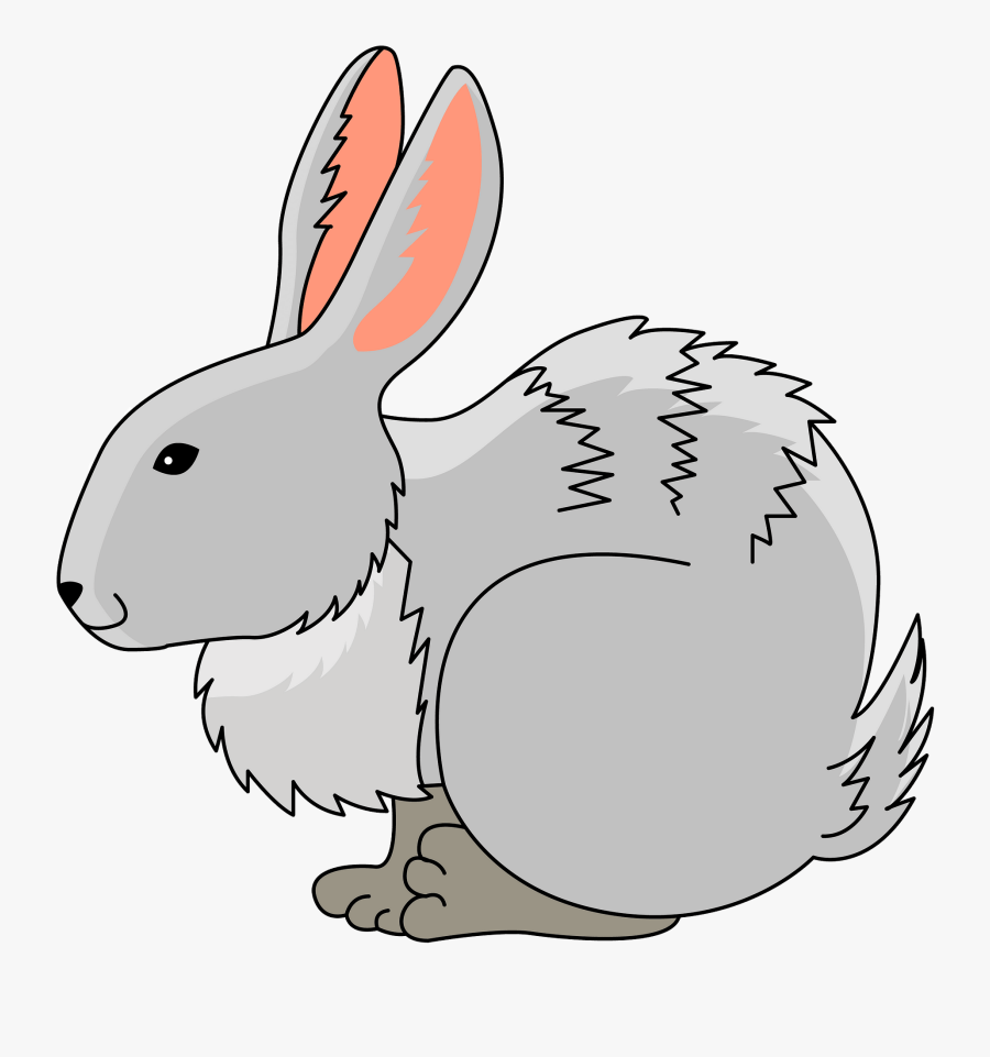 Domestic Rabbit, Transparent Clipart
