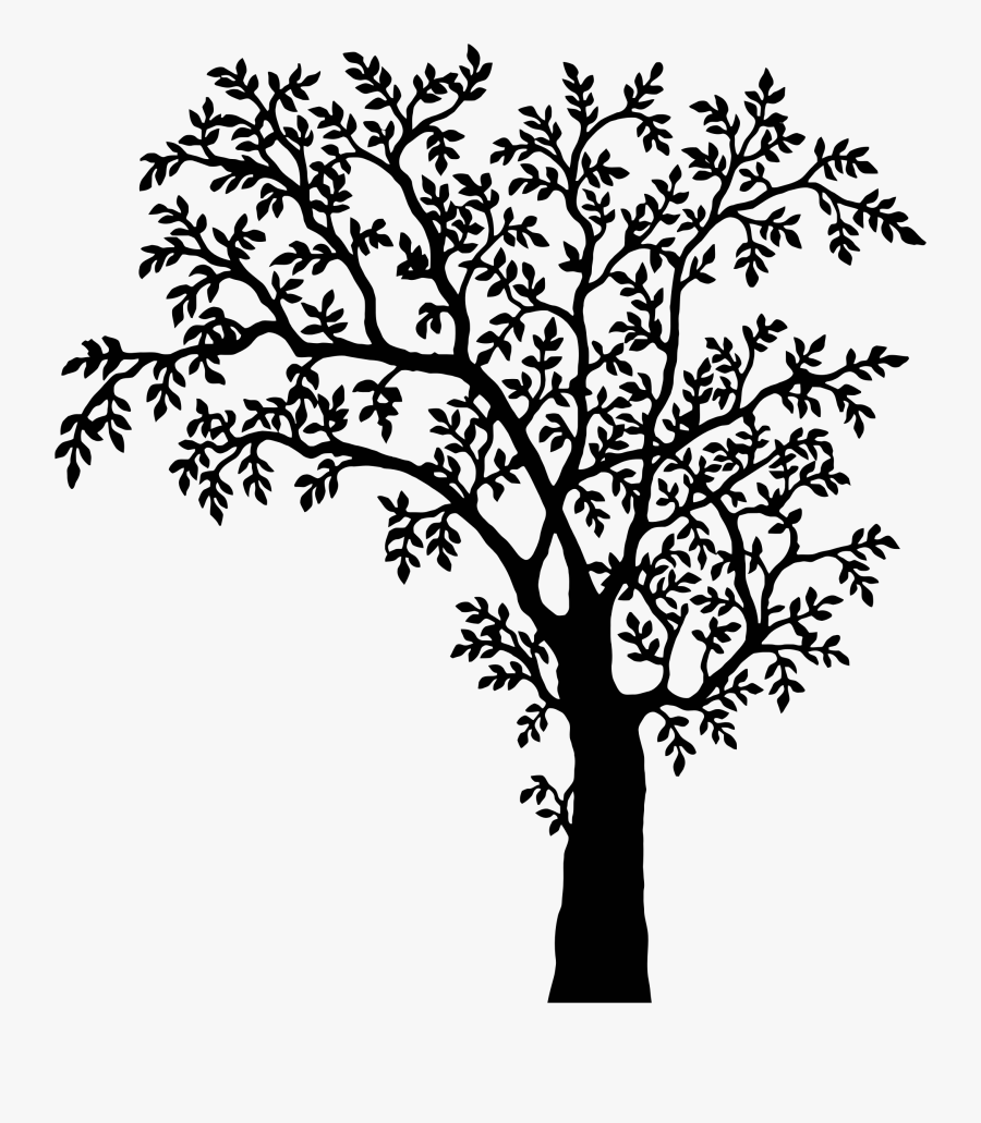Clipart - Black And White Tree Png, Transparent Clipart