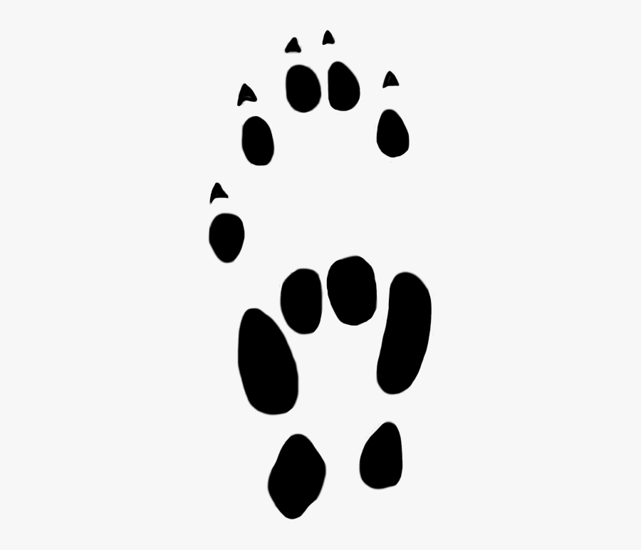 Paw Prints Stoat Mm - Clip Art, Transparent Clipart