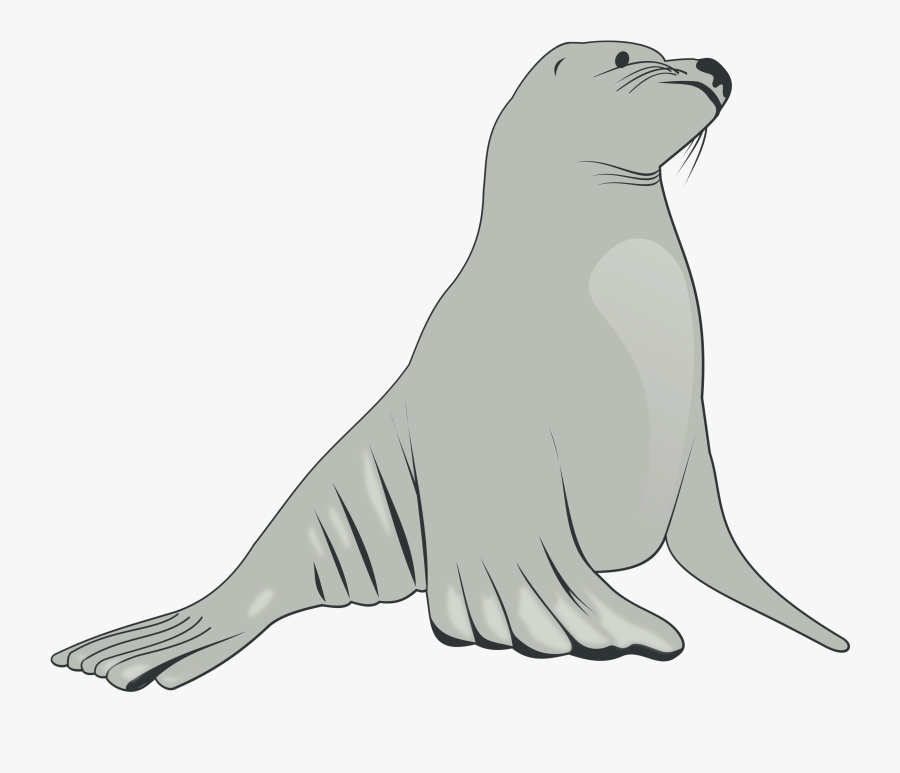 Free To Use Amp Public Domain Sea Lion Clip Art - Sea Lion Clipart, Transparent Clipart