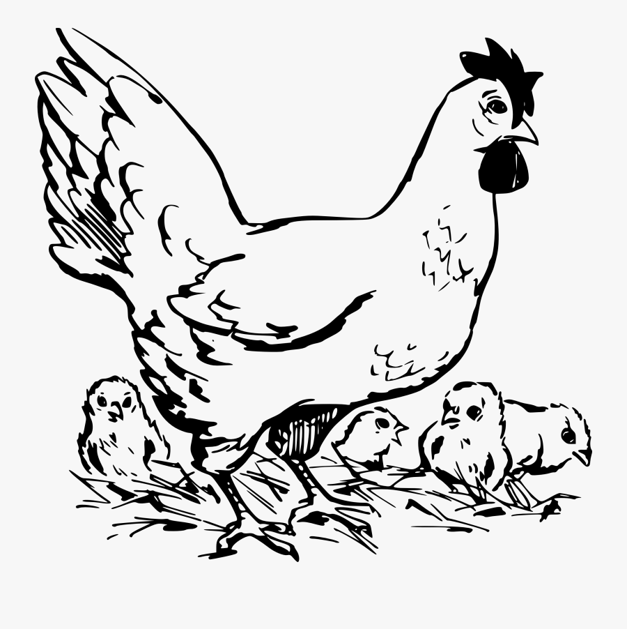 Vintage Chicken Clipart Black And White Free - Hen With Chicken Black And White, Transparent Clipart