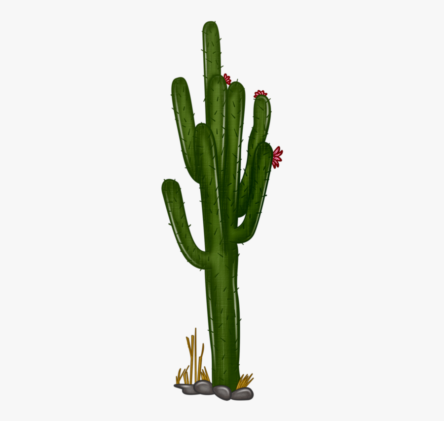 Transparent Background Cactus Clipart Png, Transparent Clipart