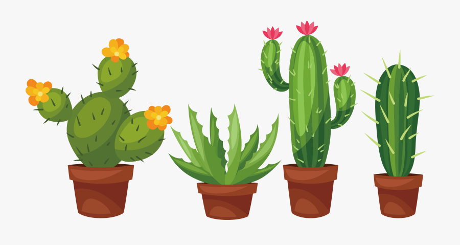Cactus Succulent Plant Cactaceae Prickly Pear Clip - Cactus Flower Drawing Easy, Transparent Clipart