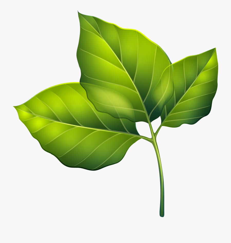Free Clipart Green Leaves, Transparent Clipart