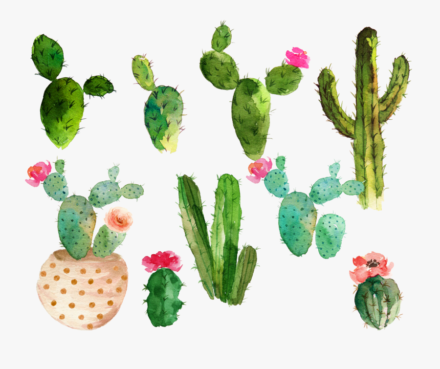 Clip Art Flowering Cactus - Free Watercolor Cactus Clipart, Transparent Clipart