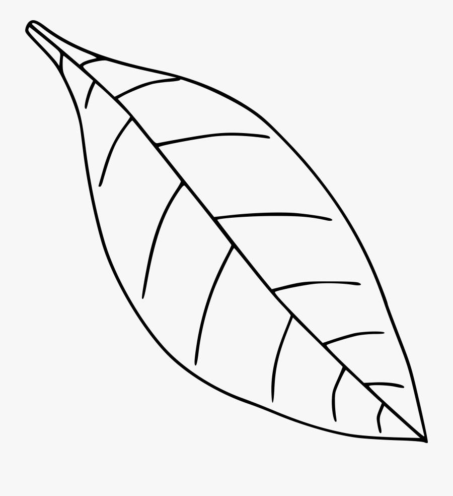 Simple Leaf - Leaf Clipart Black And White Transparent, Transparent Clipart