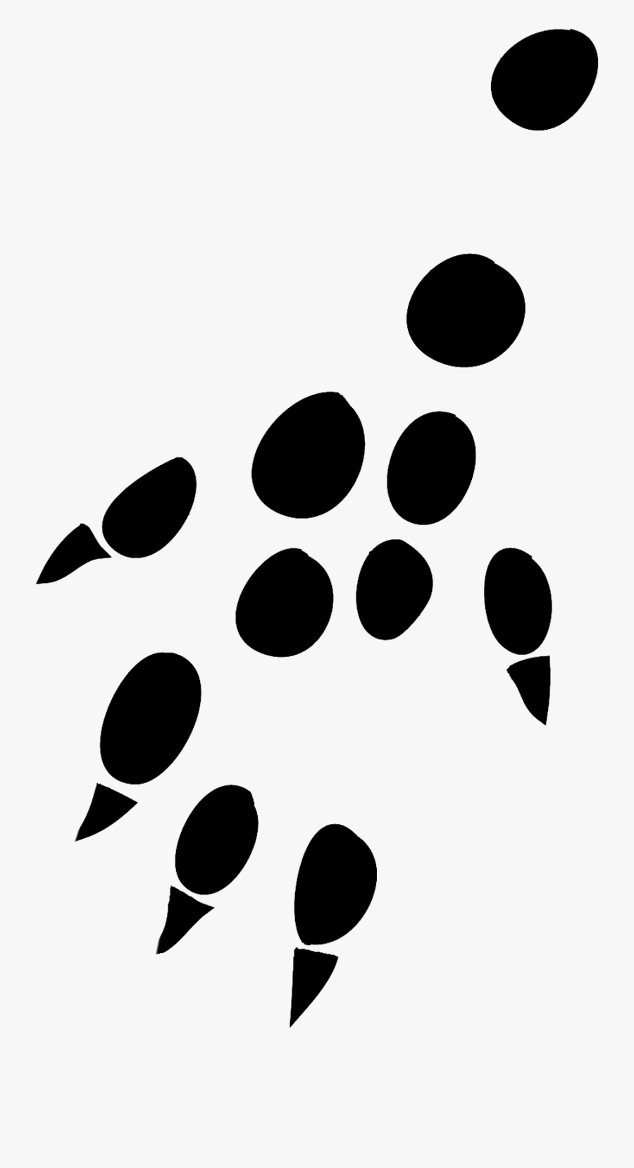 Transparent Paw Clipart - Rat Footprint Png, Transparent Clipart