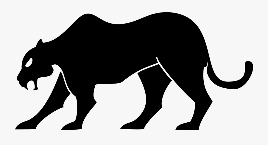 Convergent Evolution, Transparent Clipart