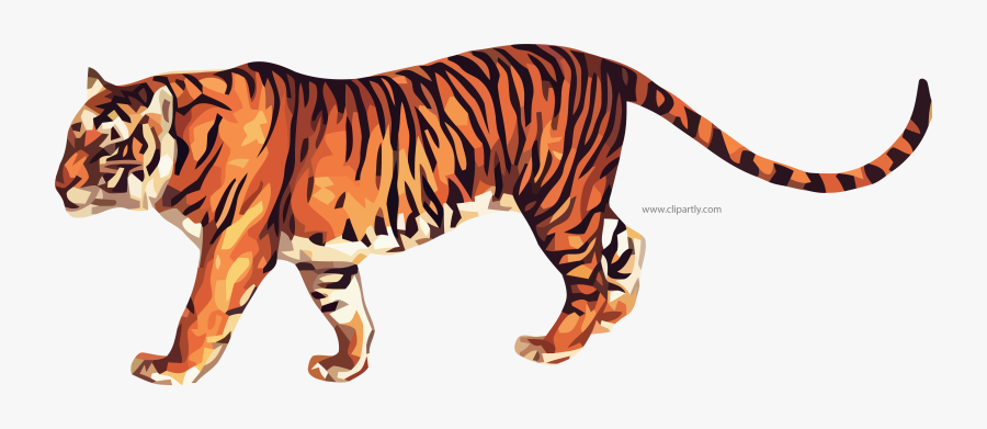 True Tiger Clipart Png Image Www Animated Picture - Animated Picture Of A Tiger, Transparent Clipart