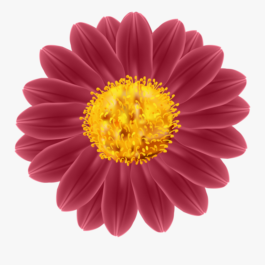 Transparent Blooming Clipart - Mexican Sunflower Vector, Transparent Clipart