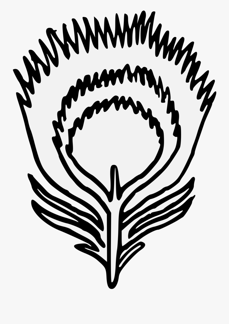 Peacock Heraldic Art Pdf - Emblem, Transparent Clipart