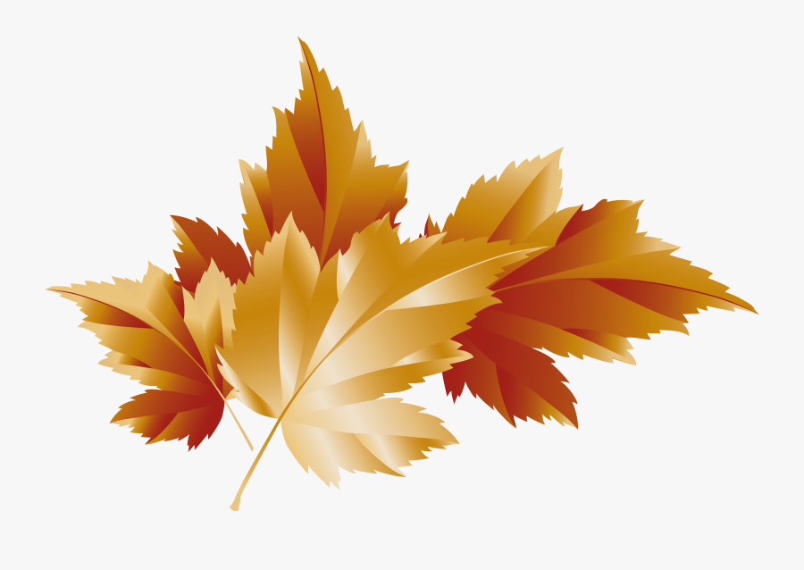 28 Collection Of Fall Clipart Transparent Background - Transparent Fall Leaves Clipart Background, Transparent Clipart