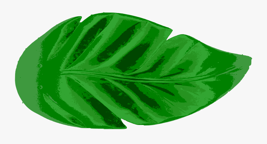 Tropical Leaves Vector Clip Art Eps Images - Clip Art Palm Leaf, Transparent Clipart