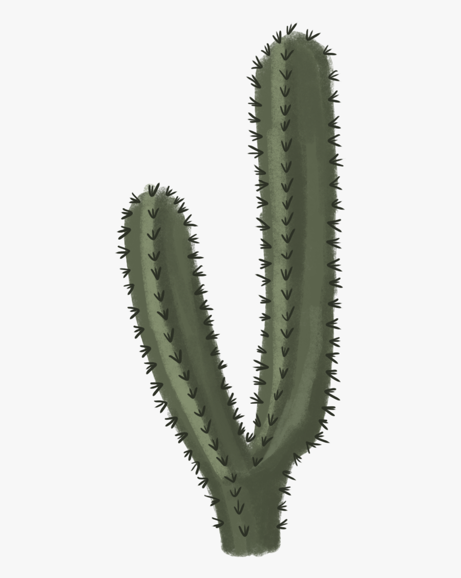 Cactus Clipart Png - Transparent Background Cactus Png, Transparent Clipart