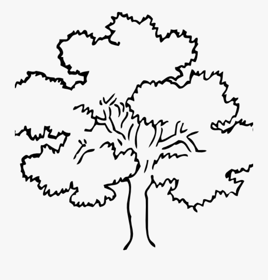 Tree Clipart Outline Oak Tree Clip Art At Clker Vector - Trees Clip Art Black And White, Transparent Clipart