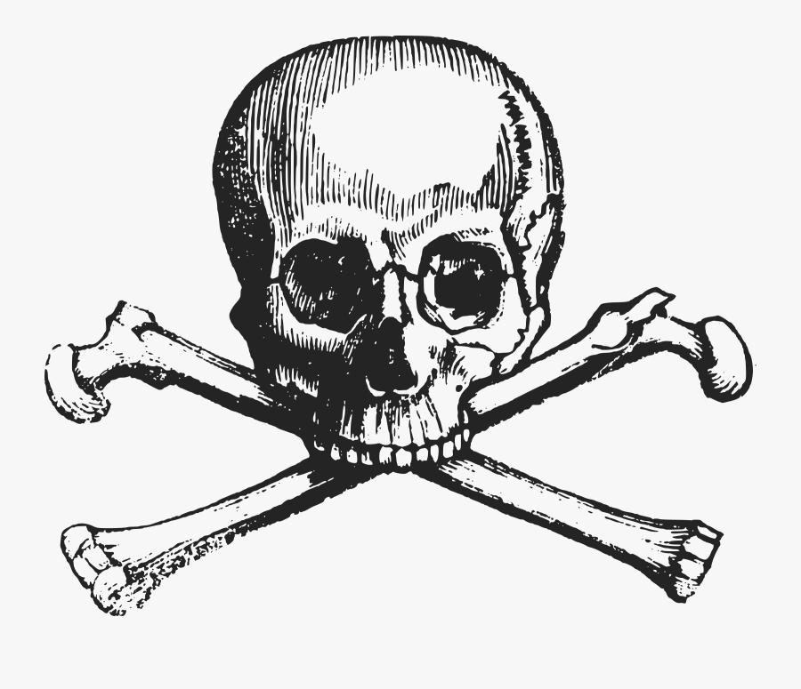 Skull Clipart Cross - Skull And Bones Png, Transparent Clipart