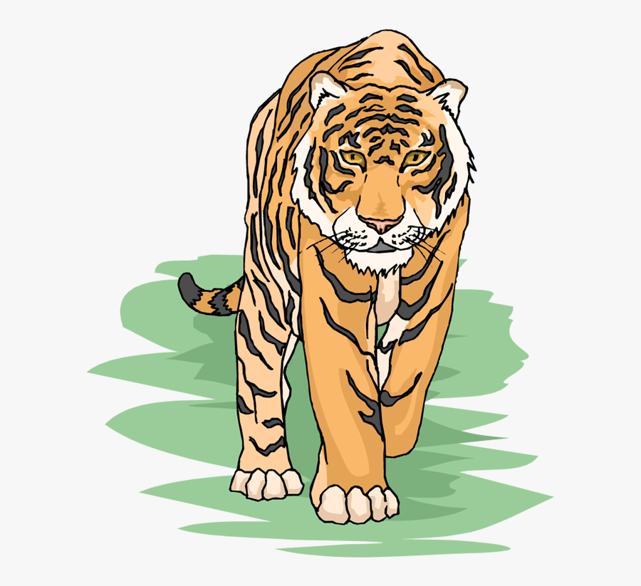 Tiger Clipart Tiger Animals Clip Art - Transparent Background Tiger Clipart, Transparent Clipart