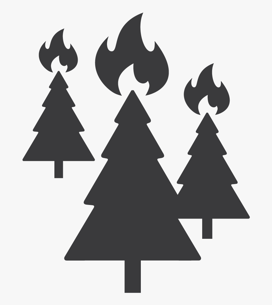 Christmas Tree Clipart , Png Download - Christmas Tree, Transparent Clipart