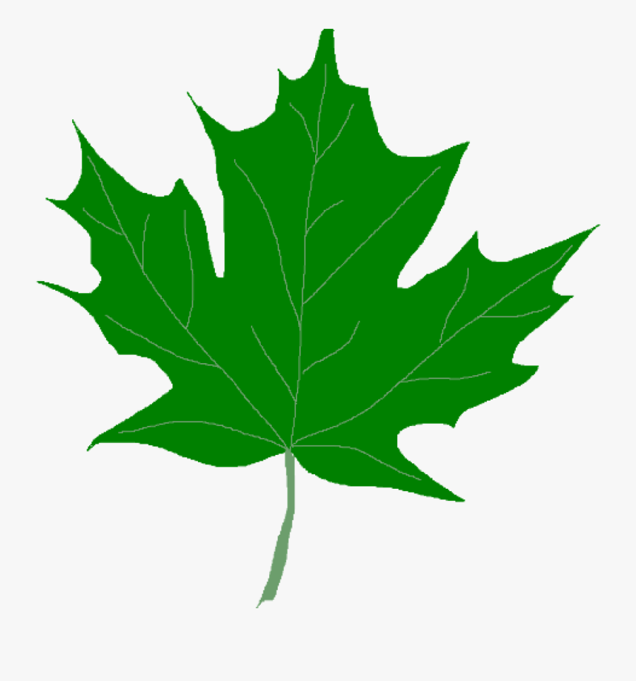 Green Leaf Clipart Green Maple Leaves Clipart Clip - Clip Art Green Leaf, Transparent Clipart