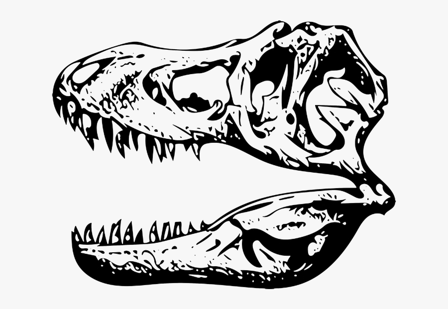 Skull Clipart T Rex - T Rex Skull Clip Art, Transparent Clipart