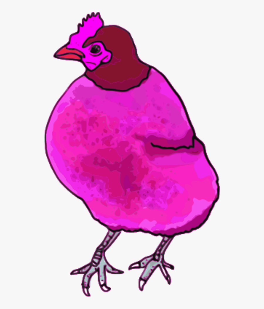 Chicken Hen Vector Clip Art Image - Pink Chicken Png, Transparent Clipart