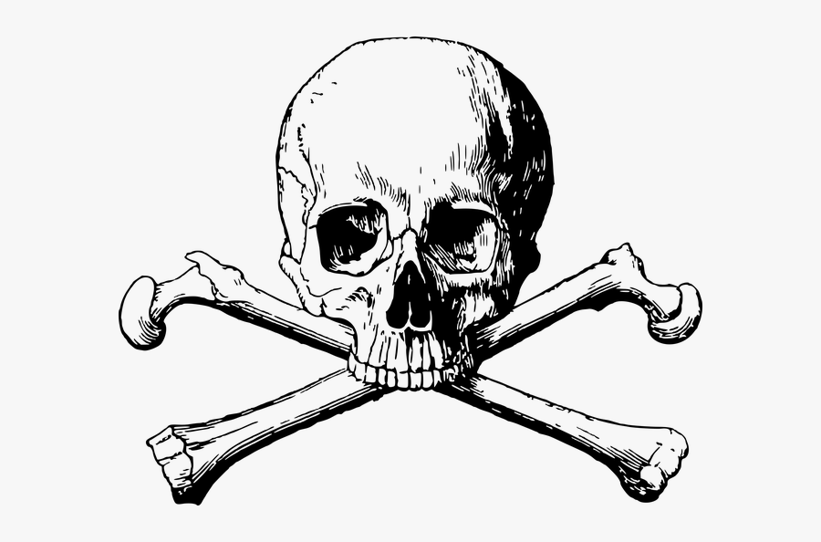 Crossbones, Skull, Danger, Death, Halloween, Dead - Skull And Bones Png, Transparent Clipart