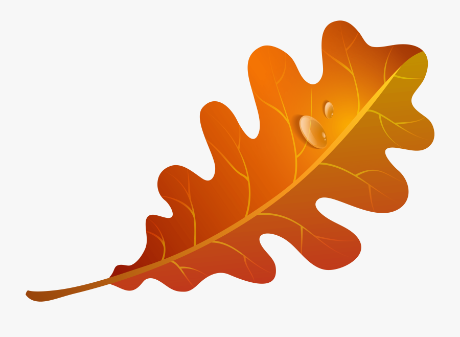 Transparent Leaf Clipart - Orange Fall Leaves Clip Art, Transparent Clipart