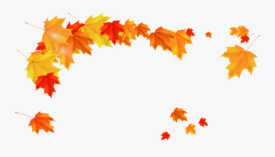 Maple Leaf Clipart Watermelon - Fall Leaves Autumn Png, Transparent Clipart