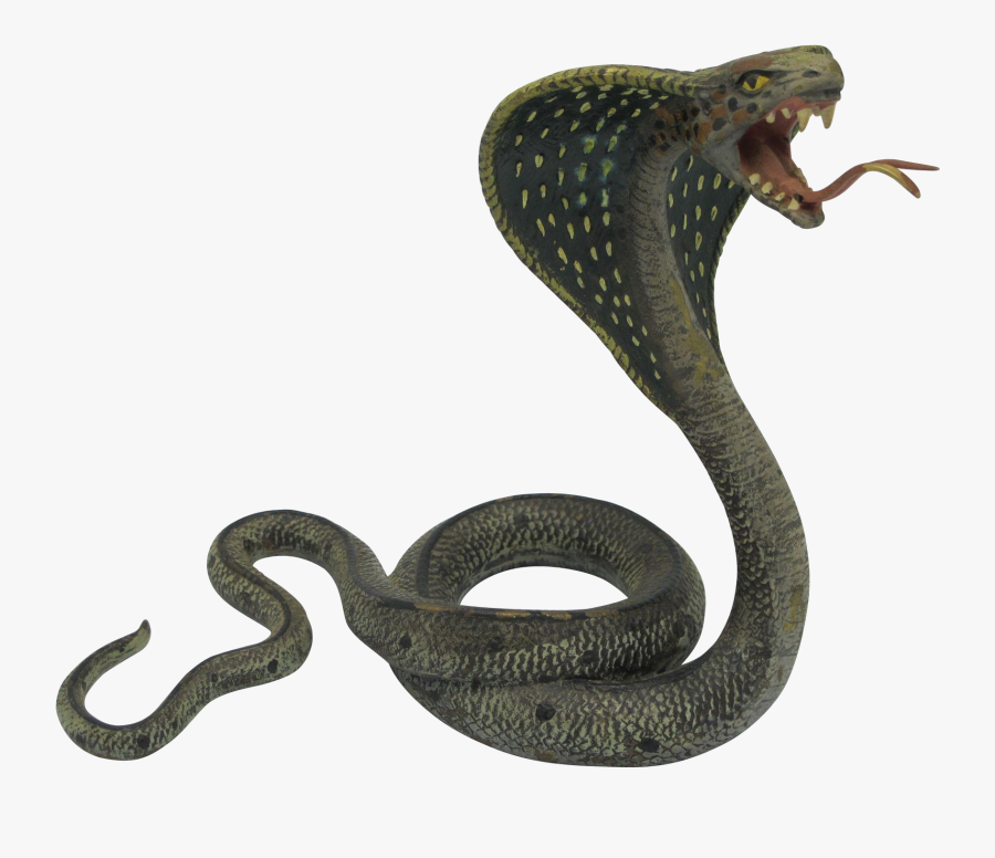 Cobra Png Photos Peoplepng - Black Mamba King Cobra Snakes, Transparent Clipart