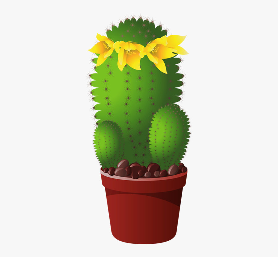 Cactus, Transparent Clipart