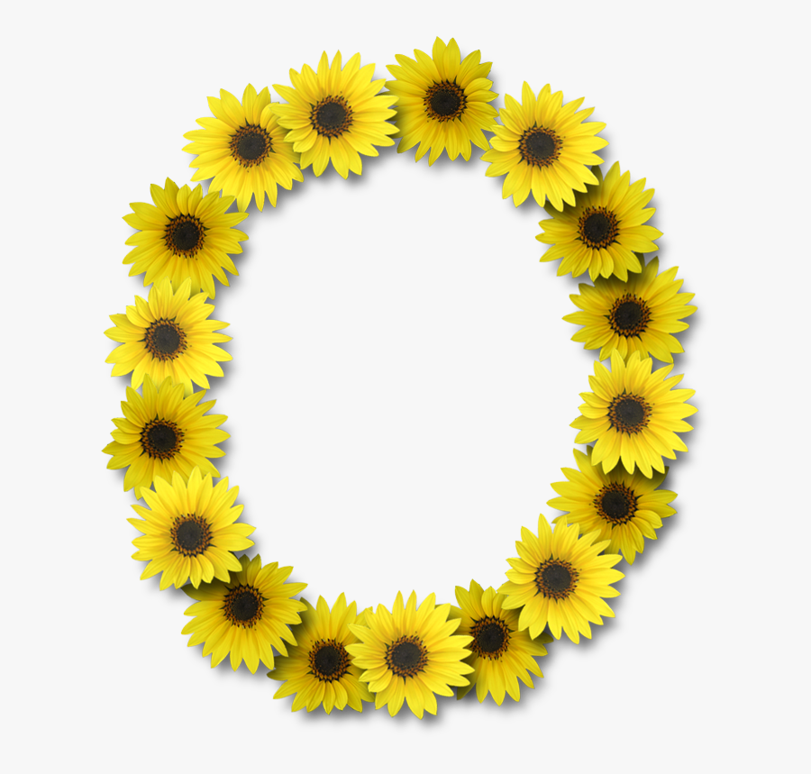Transparent Sunflower Clipart Png - Sunflower Letter, Transparent Clipart