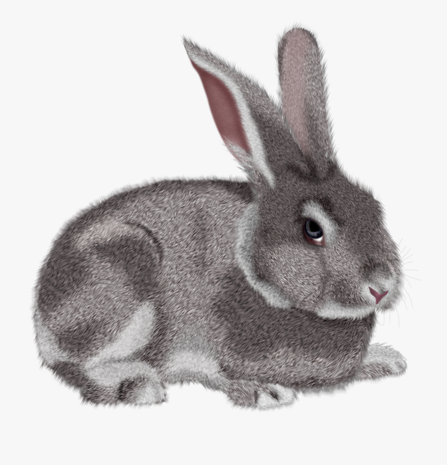 Rabbit Bunny Clipart Black And White Free Images - Transparent Background Rabbit Clipart, Transparent Clipart