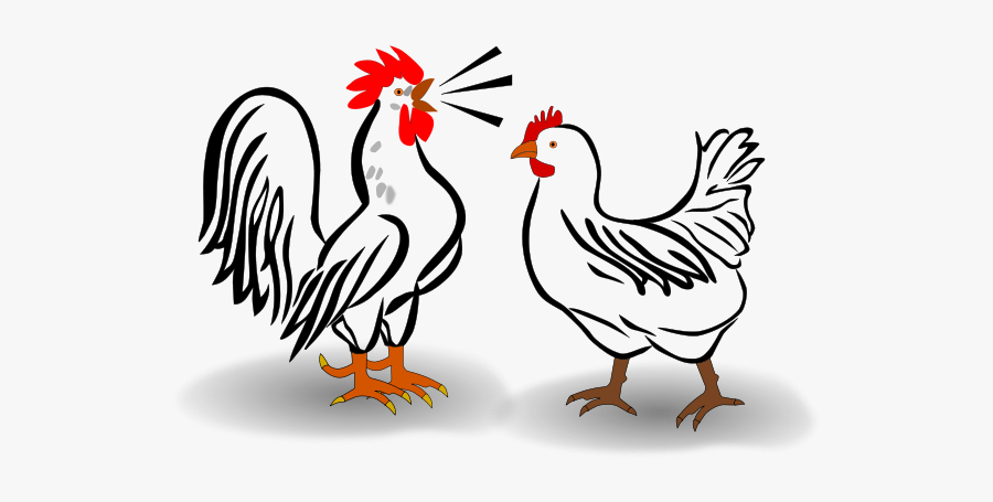 Free Rooster And Chicken - Rooster Clip Art, Transparent Clipart