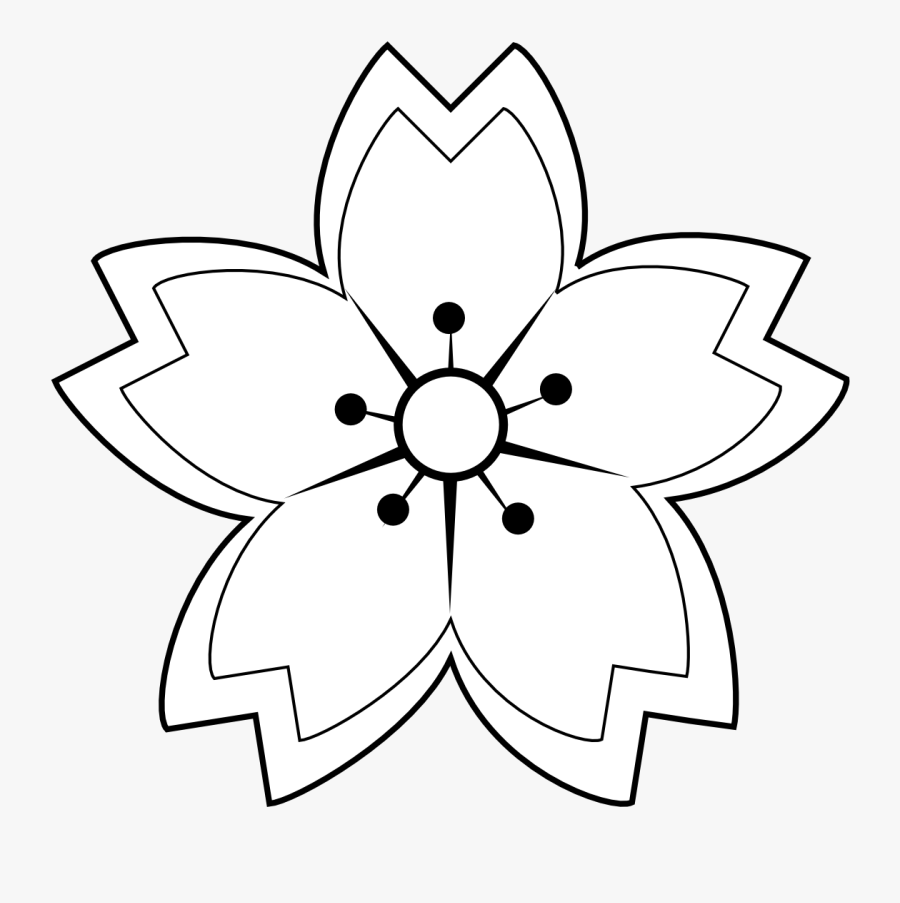 Flower, Petals, Star, Symetry - White Sakura Flower Sketch, Transparent Clipart