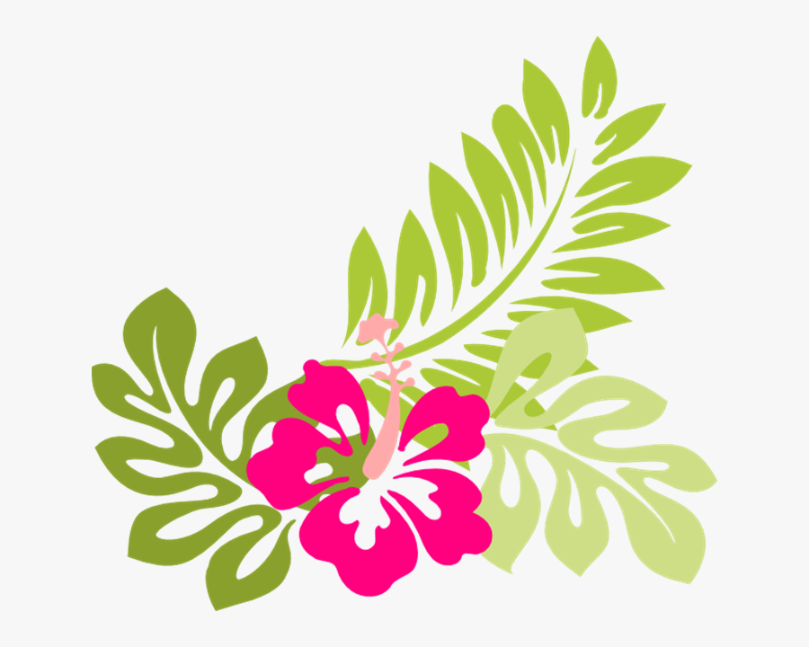 Flower Clipart Tropical - Hibiscus Clip Art, Transparent Clipart